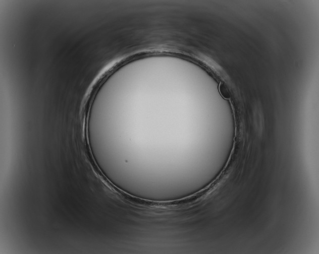 X0000085841224200703231435