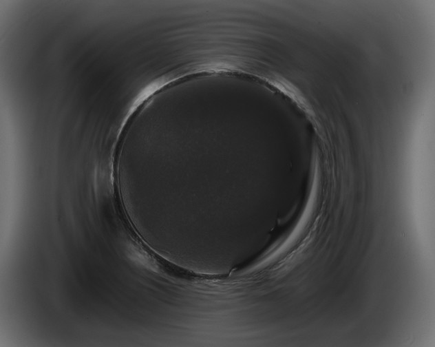 X0000085841226200703231435