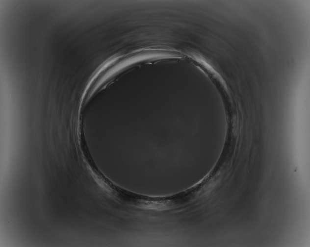 X0000085841229200703231435