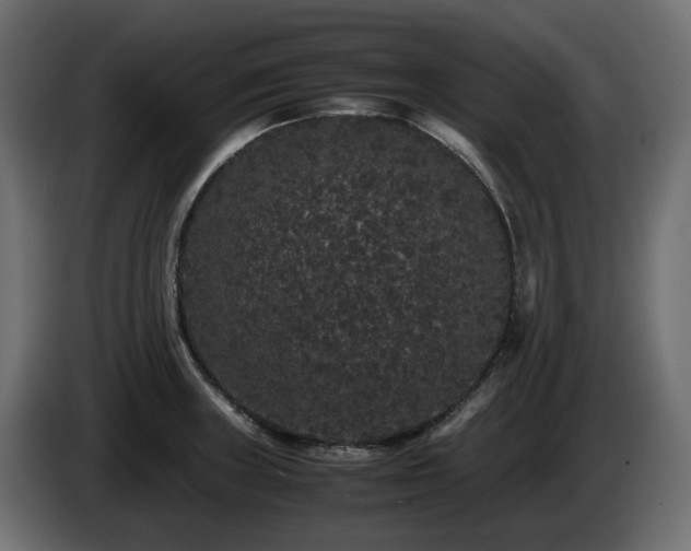 X0000085841235200703231435