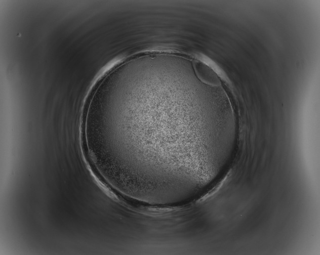 X0000085841237200703231435
