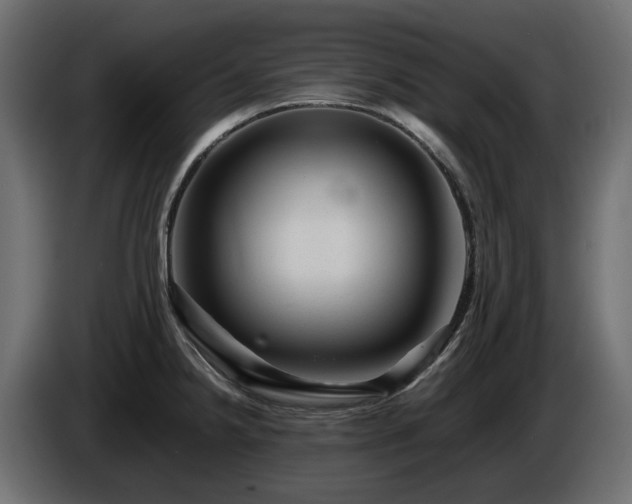 X0000085841238200703231435
