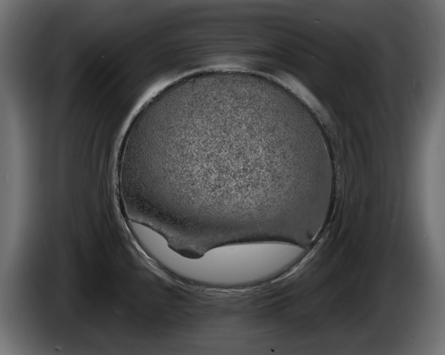 X0000085841240200703231435
