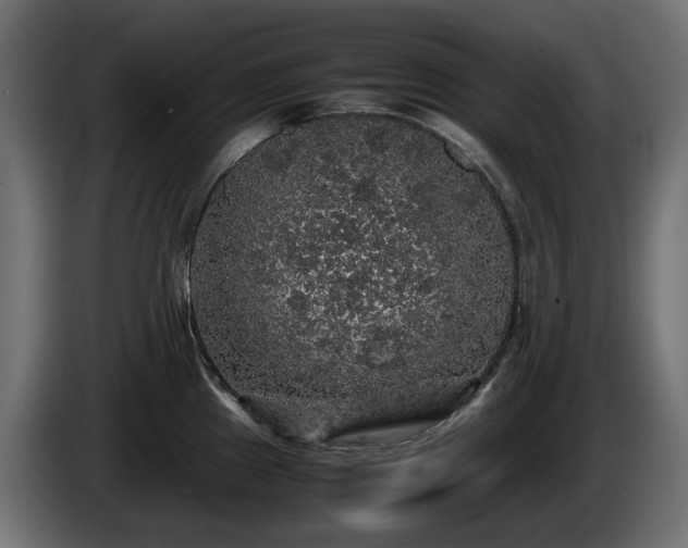 X0000085841241200703231435