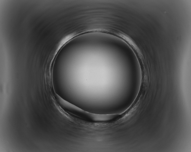 X0000085841242200703231435