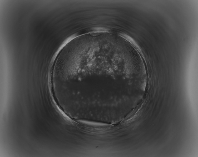 X0000085841243200703231435