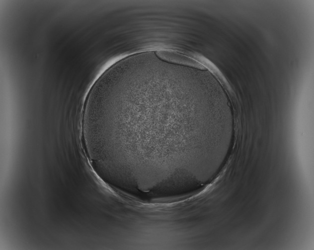 X0000085841244200703231435