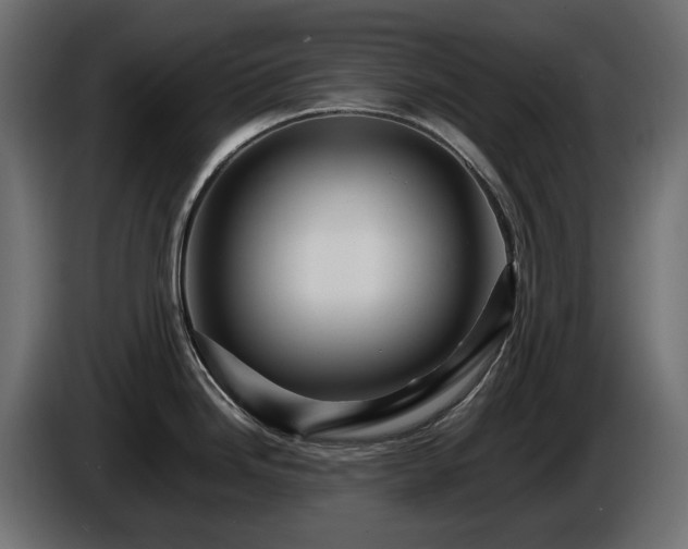 X0000085841246200703231435