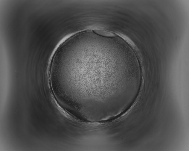 X0000085841248200703231435