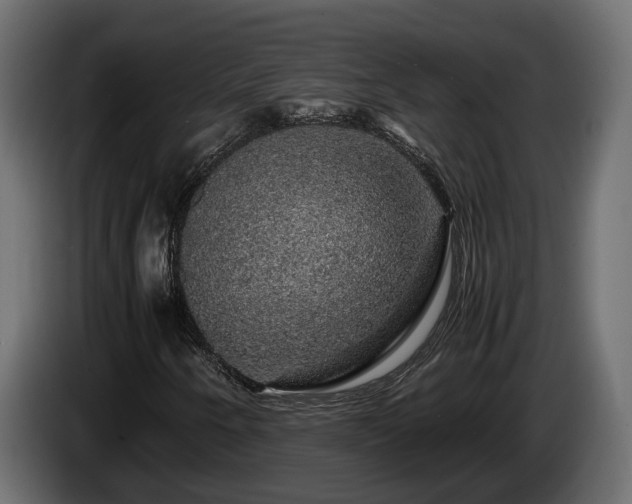 X0000085841250200703231435
