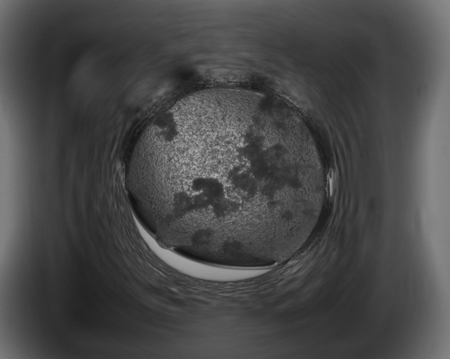 X0000085841251200703231435