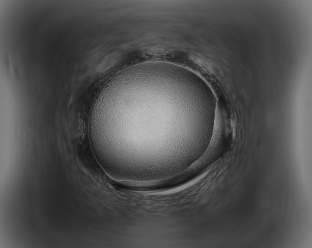 X0000085841253200703231435