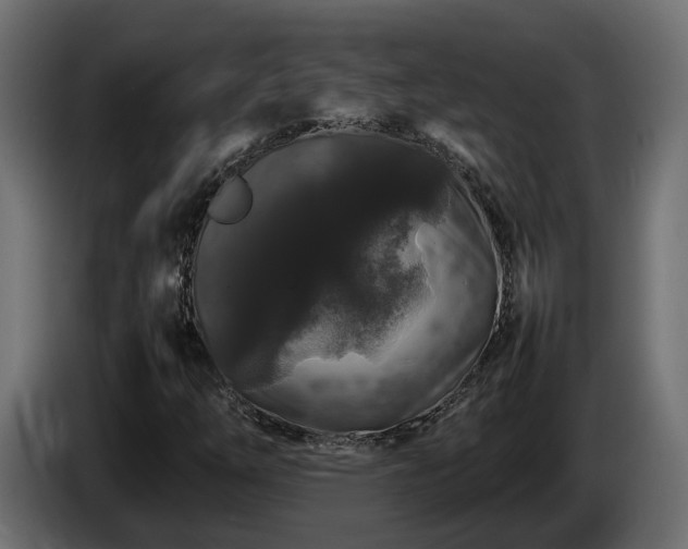 X0000085841254200703231435