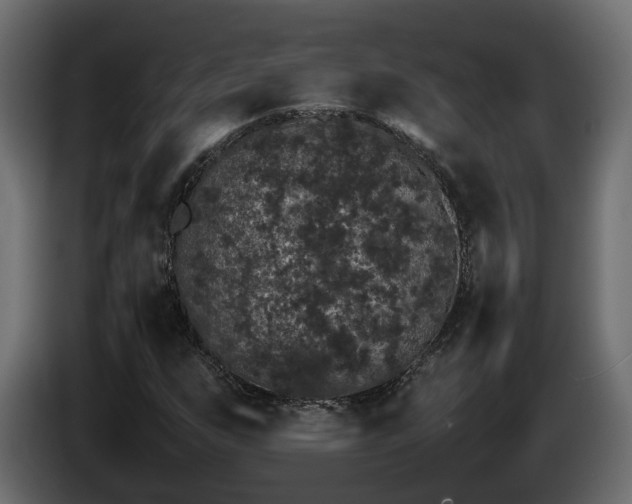 X0000085841255200703231435