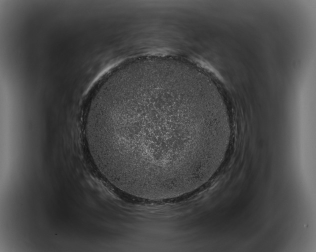 X0000085841256200703231434