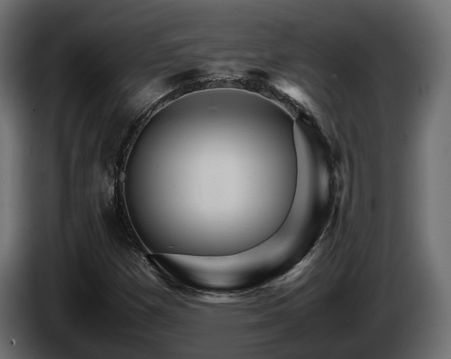 X0000085841257200703231434