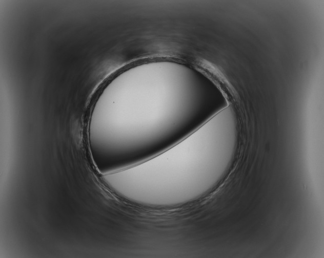 X0000085841260200703231434
