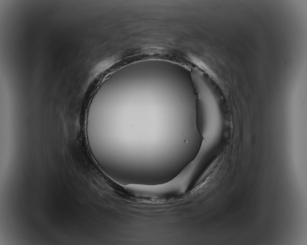X0000085841261200703231434