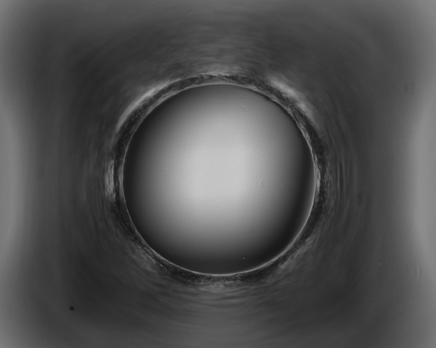 X0000085841262200703231434
