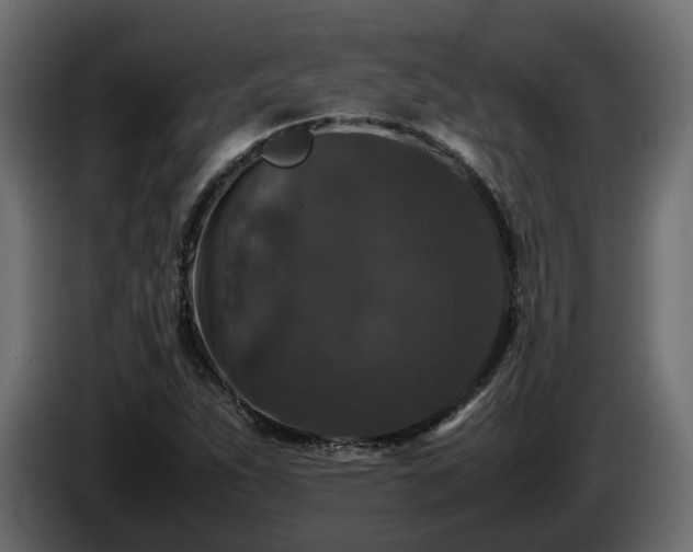X0000085841263200703231434