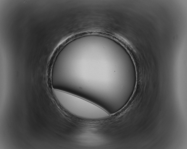 X0000085841264200703231434