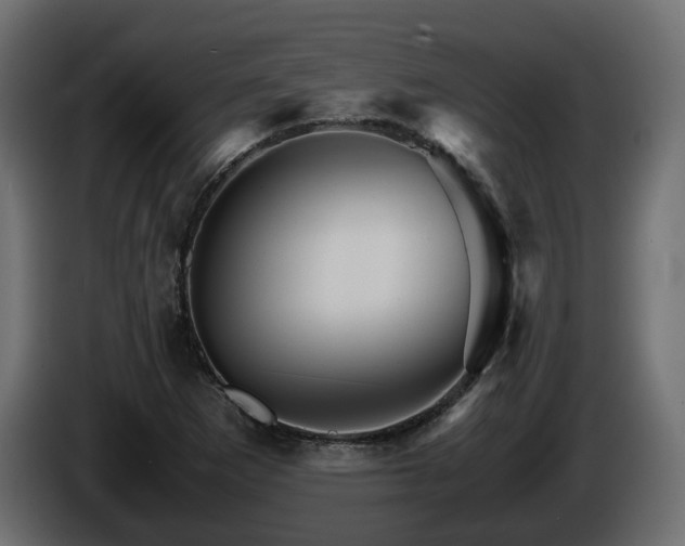 X0000085841265200703231434