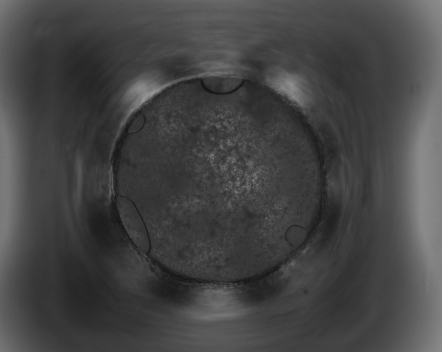 X0000085841267200703231434