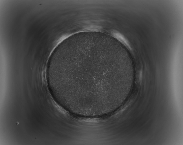 X0000085841268200703231434