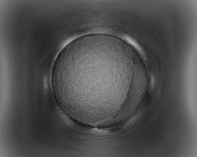 X0000085841272200703231434