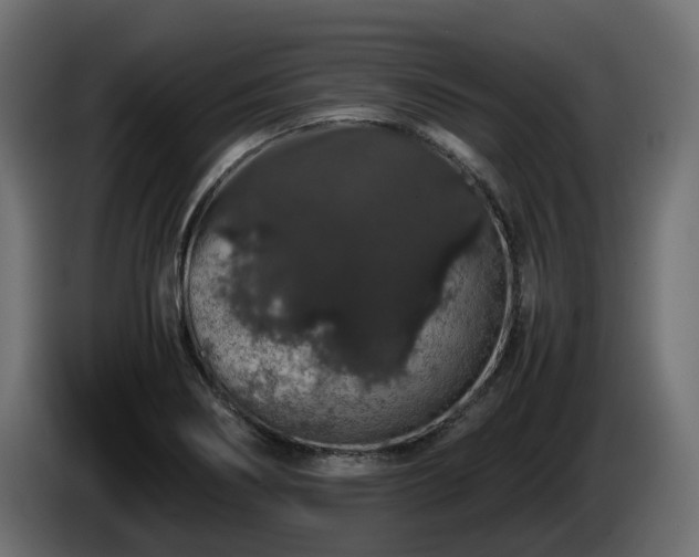 X0000085841274200703231434