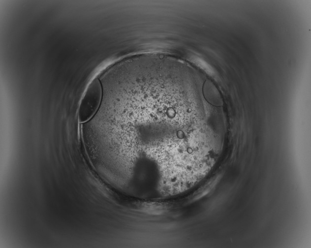 X0000085841275200703231434