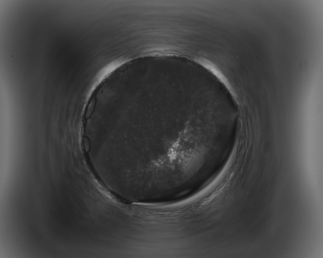 X0000085841277200703231434