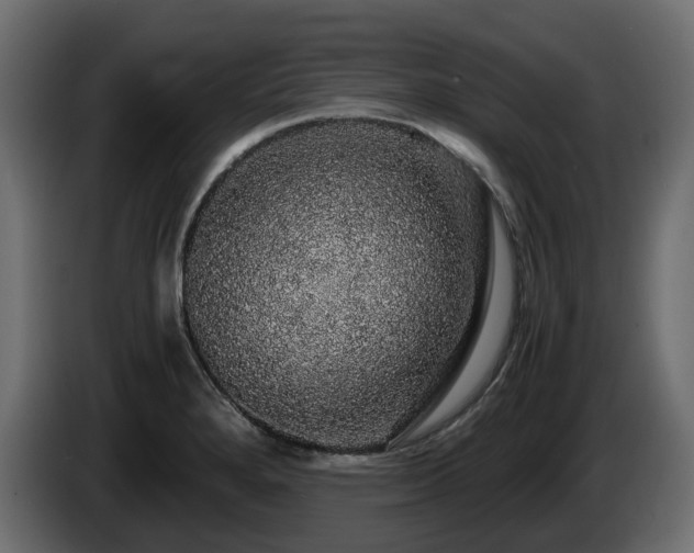 X0000085841280200703231434