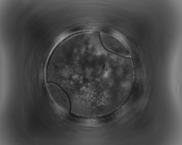 X0000085841283200703231434