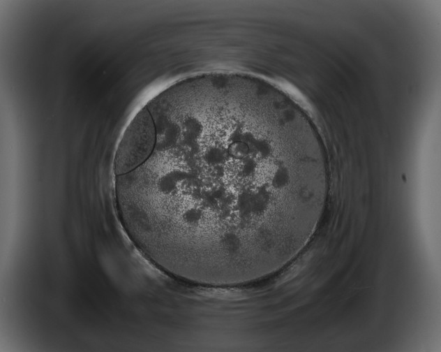 X0000085841287200703231434