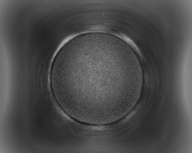 X0000085841288200703231434