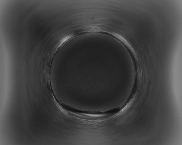 X0000085841289200703231434