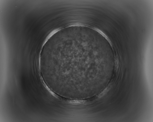 X0000085841290200703231434