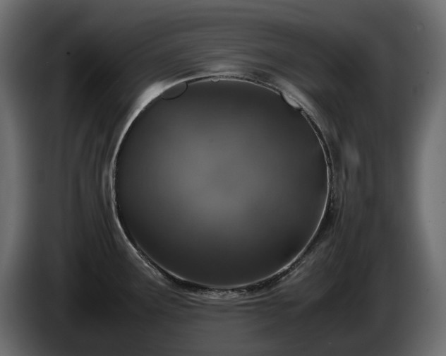 X0000085841291200703231434