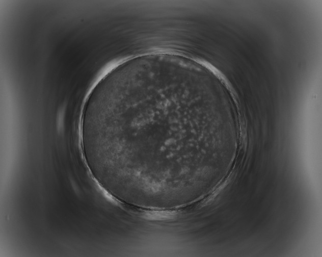 X0000085841294200703231434