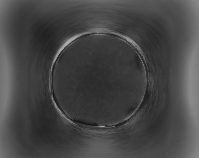 X0000085841295200703231434