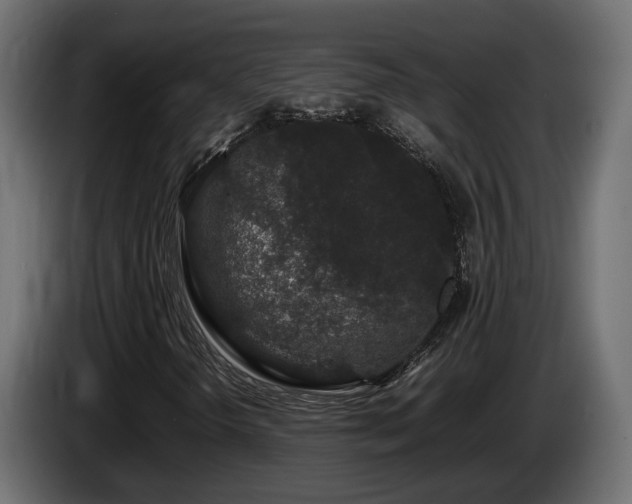 X0000085841298200703231433