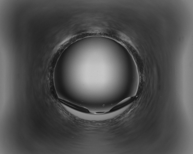 X0000085841304200703231433