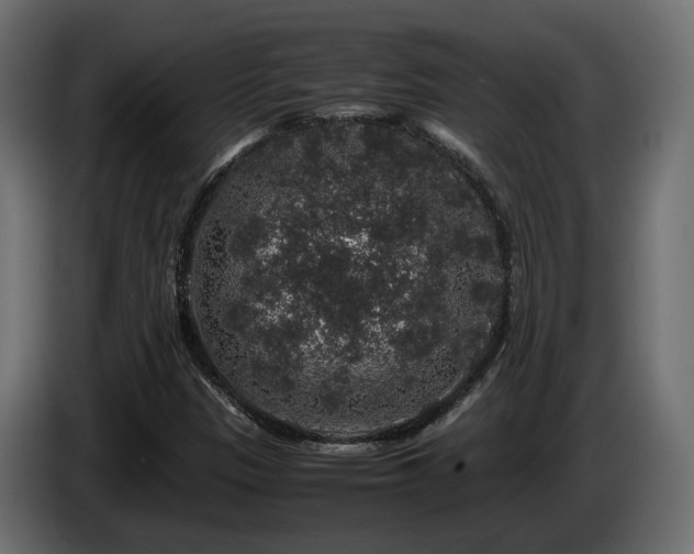 X0000085841305200703231433