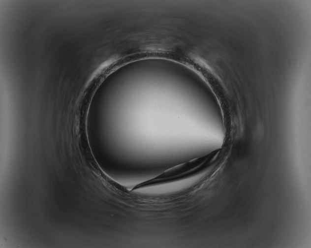 X0000085841307200703231433