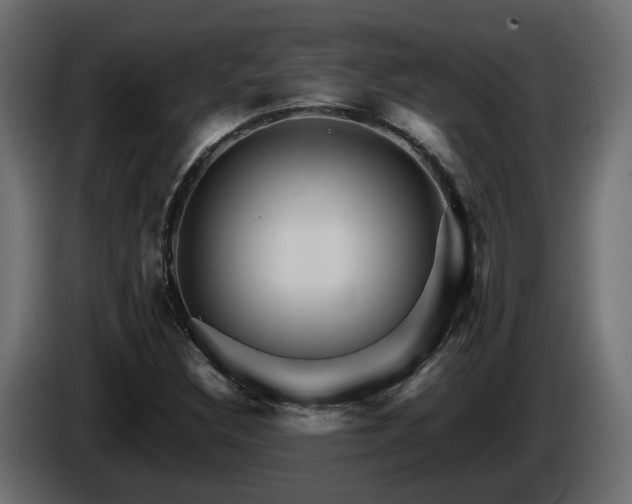 X0000085841308200703231433