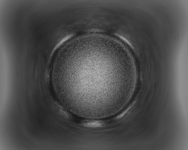 X0000085841309200703231433