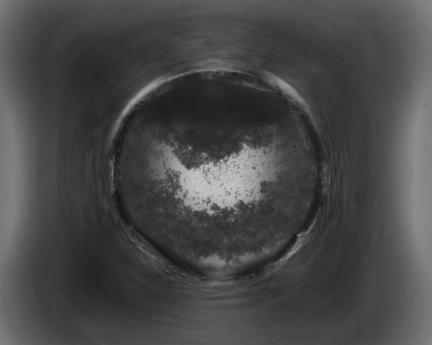 X0000085841310200703231433