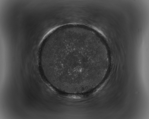 X0000085841311200703231433