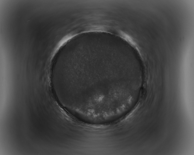 X0000085841312200703231433